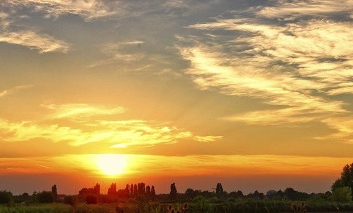 Zdjęcie do Nadchodzi upał. Dowiedz się, jak się zachować